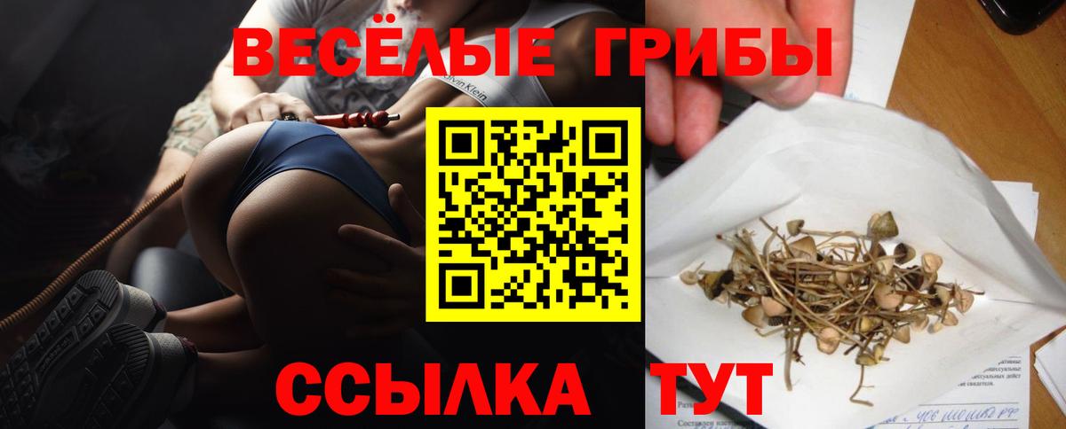Псилоцибиновые грибы Psilocybe  купить закладку  Волгодонск  Вход с VPN 